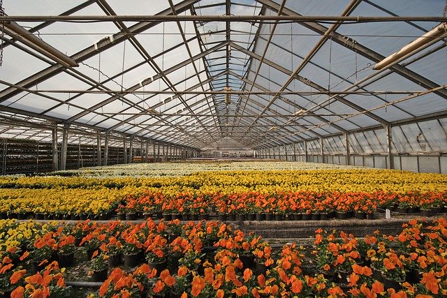 nursery